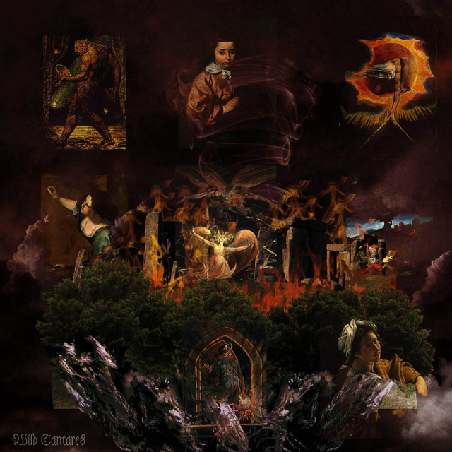 Wild Cantares. cover art