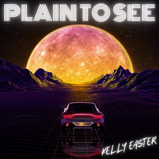 PLAIN TO SEE cover
