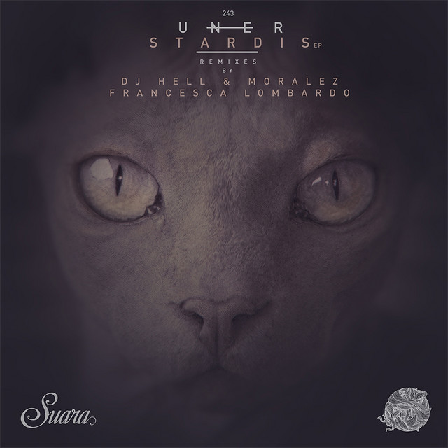 Walking to the Stars - DJ Hell & Moralez Remix cover art