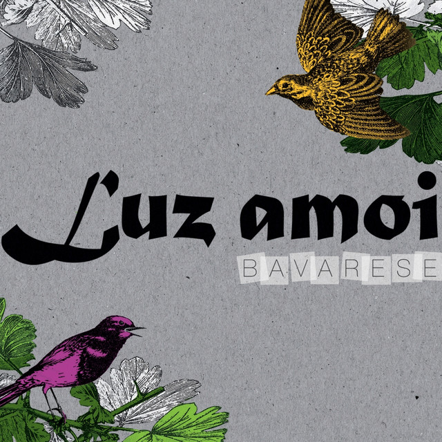 Bavarese cover