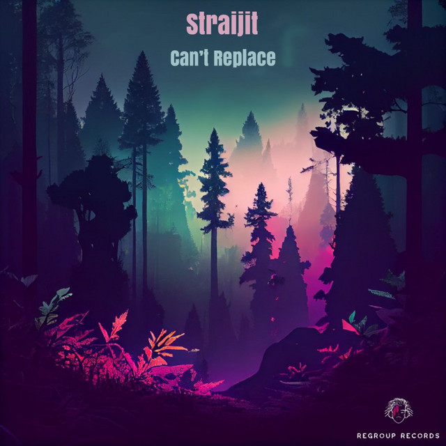 Can't Replace cover art