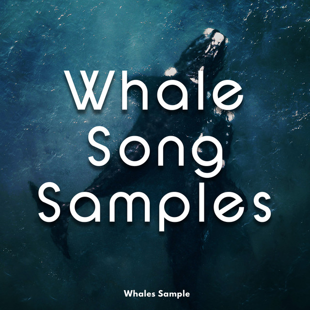Whale Song Samples cover art