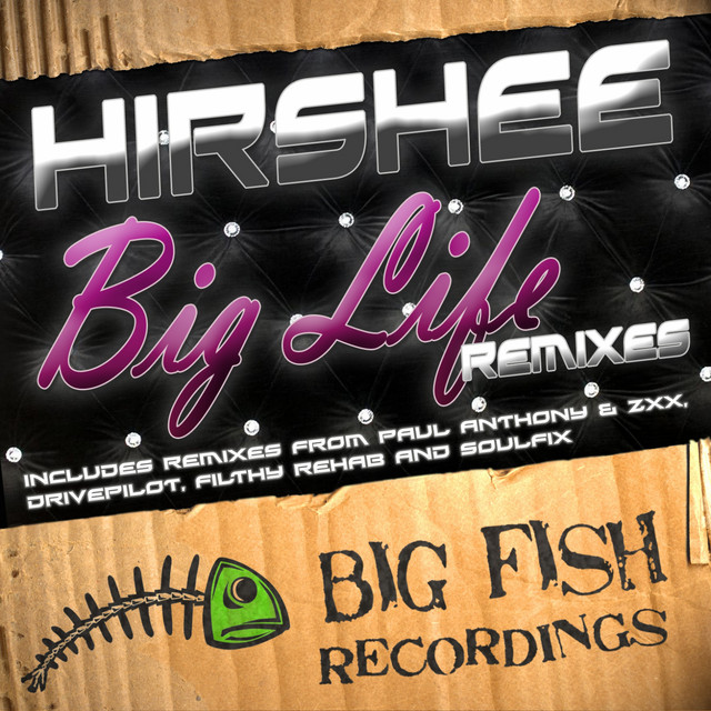 Big Life Remixes cover art