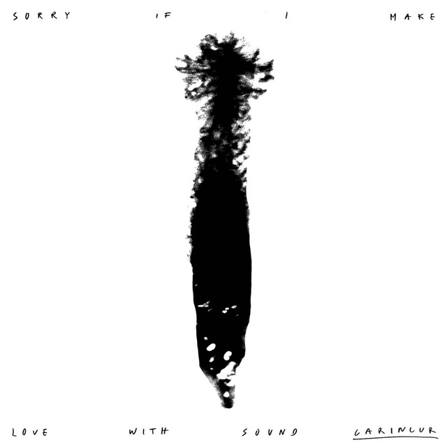 Sorry If I Make Love With Sound cover art