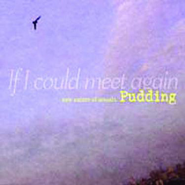 If I Could Meet Again (New Nature Of Sounds) cover art