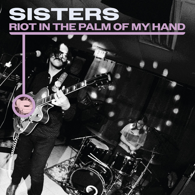 Riot in the Palm of My Hand cover art