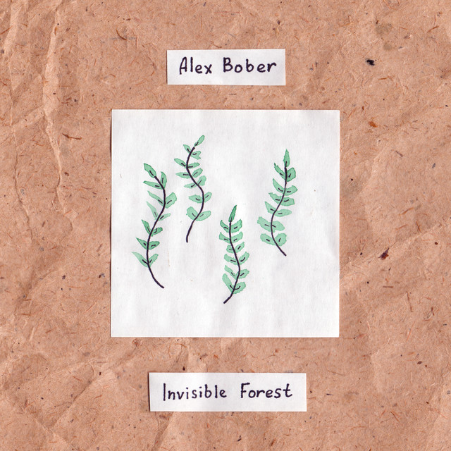 Invisible Forest cover