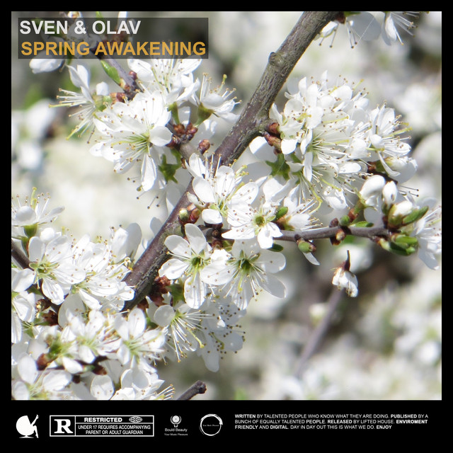 Spring Awakening cover