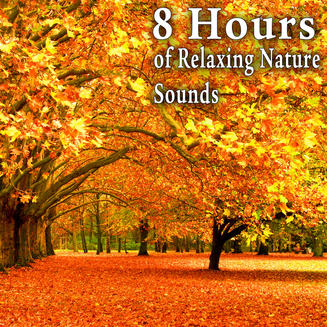 8 Hours of Relaxing Nature Sounds cover