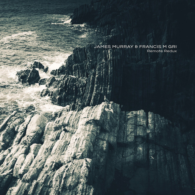 Remote Redux cover art