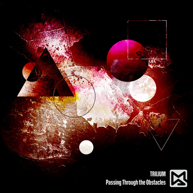 Обкладинка: Passing Through the Obstacles — Trilium