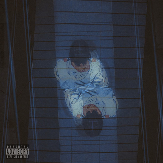dsrve cover art