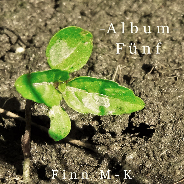 Album Fünf cover art