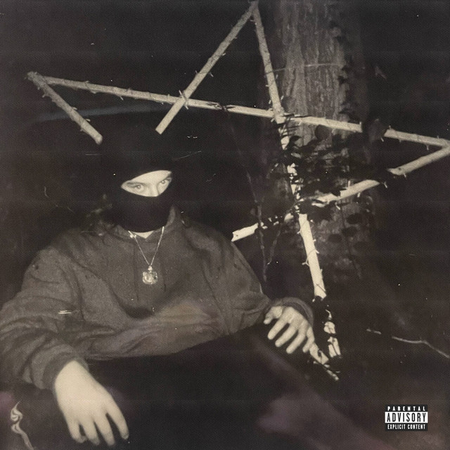 Internal Plexus cover art