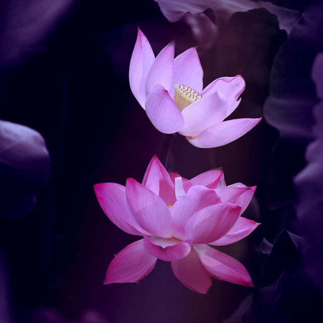 Beautiful Sleep Music | Positive cover art