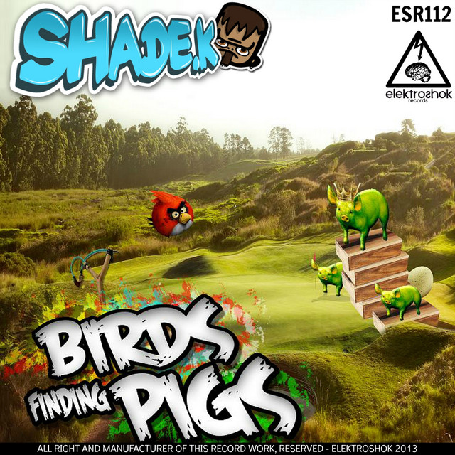 Birds Finding Pigs album art
