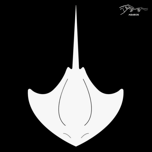STINGRAY