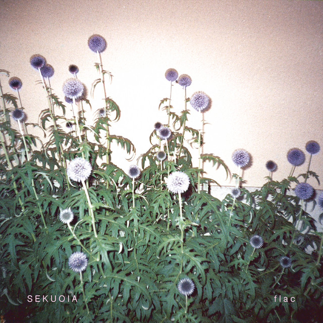 Flac (Bonus Track Version) cover art