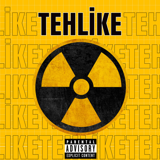 Tehlike cover art