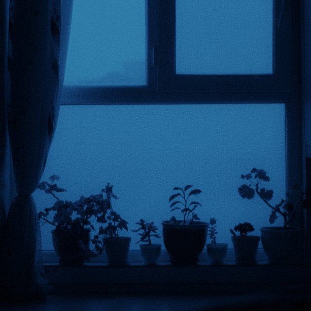 just tryin' cover art