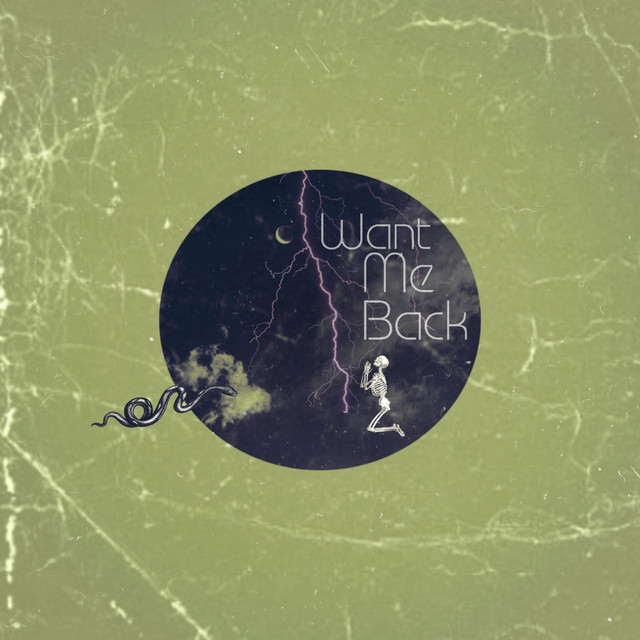 Want Me Back