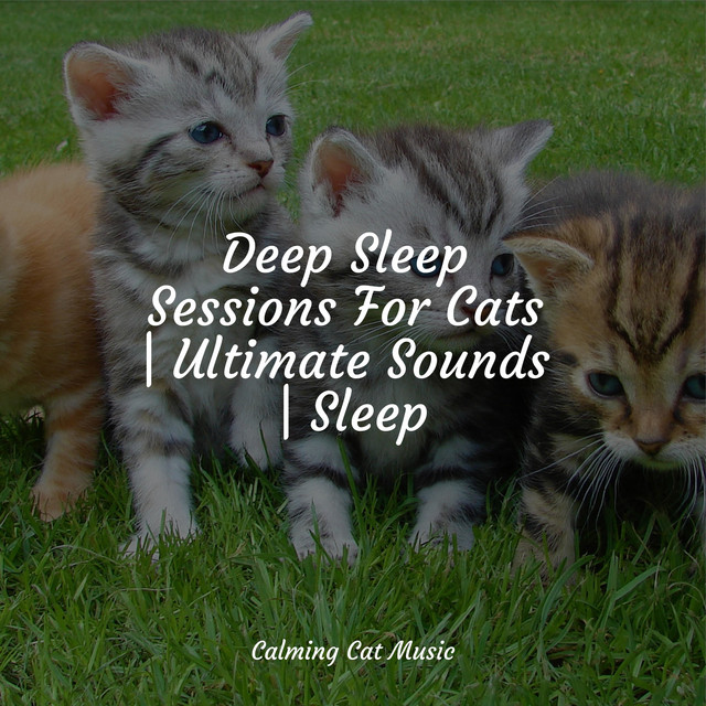 Deep Sleep Sessions For Cats | Ultimate Sounds | Sleep - Album by Music ...