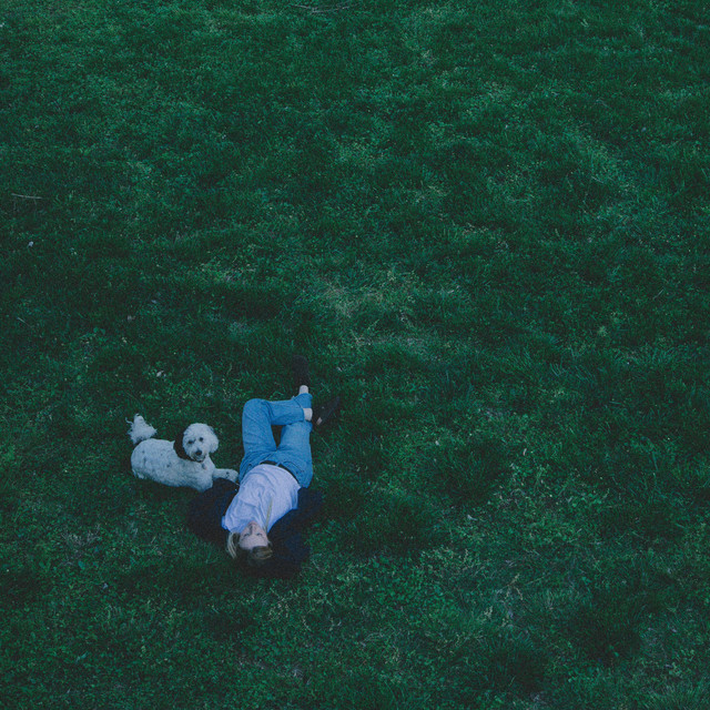 let the record show, i fell apart cover art