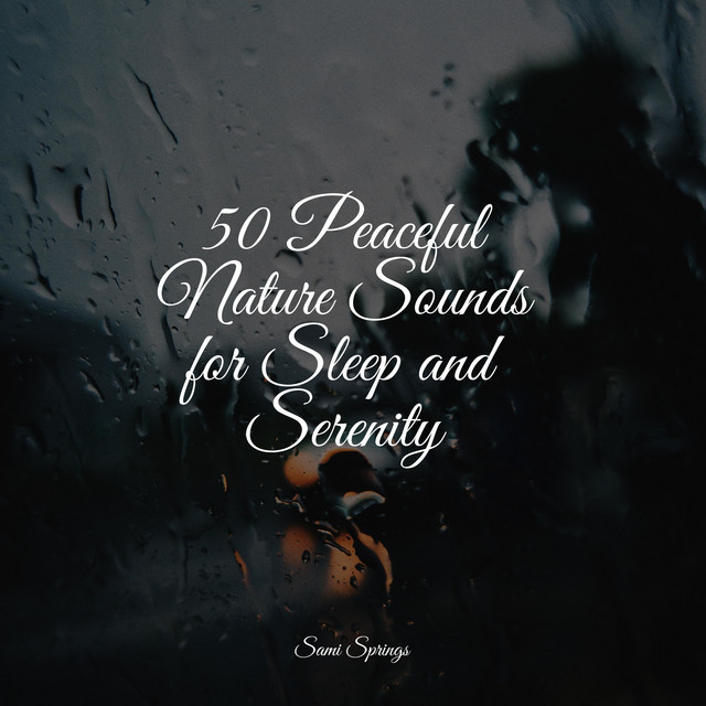 50 Peaceful Nature Sounds for Sleep and Serenity - Album by Rain Man ...