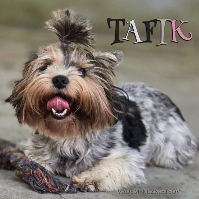Обкладинка: Tafik — Vadym Kuznietsov