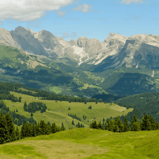 Lothlorien (from 'Lord of the Rings')