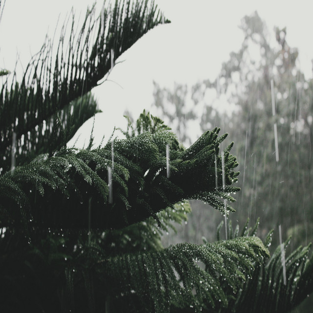 Rainy Universe cover art
