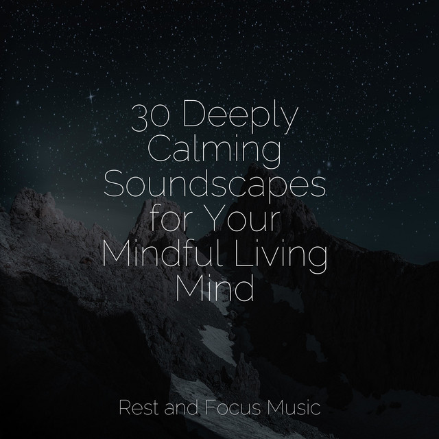 30 Deeply Calming Soundscapes for Your Mindful Living Mind - Album by ...