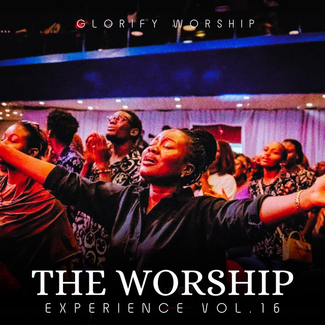 The Worship Experience, Vol. 16 cover art