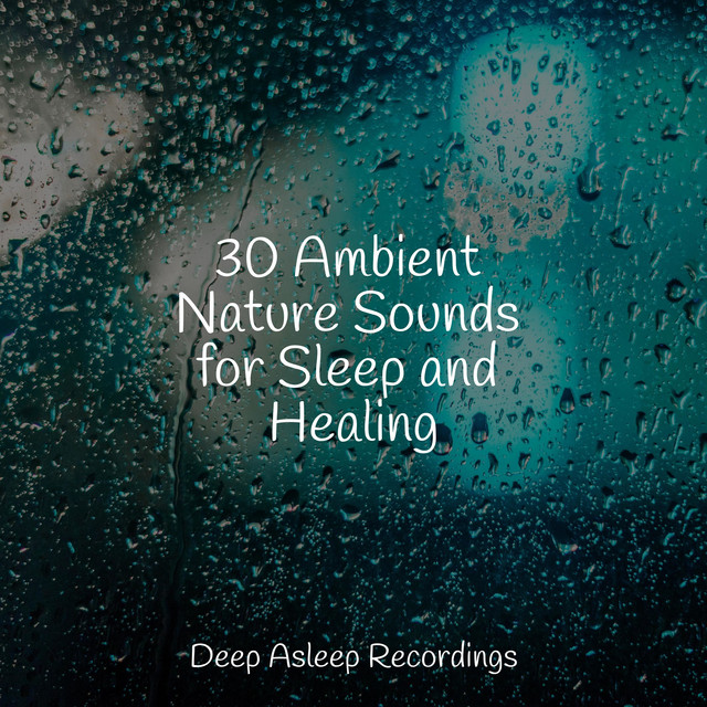 30 Ambient Nature Sounds for Sleep and Healing - Album by Sleeping ...