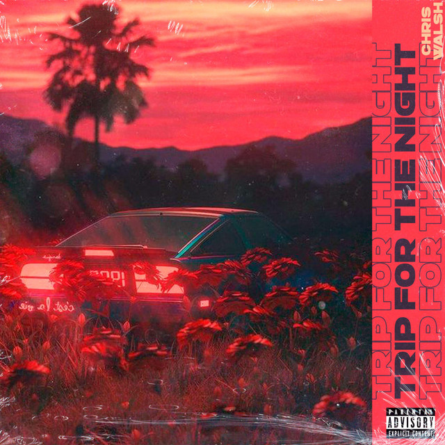 Trip for the Night cover