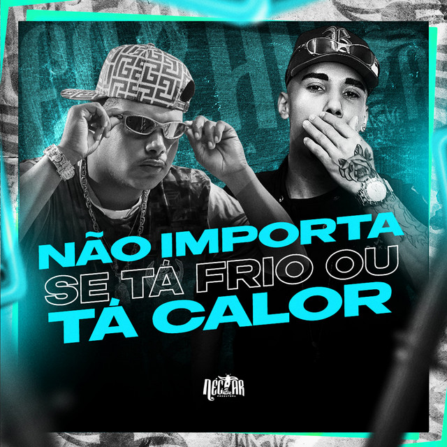 Não Importa se ta Frio ou ta Calor album art