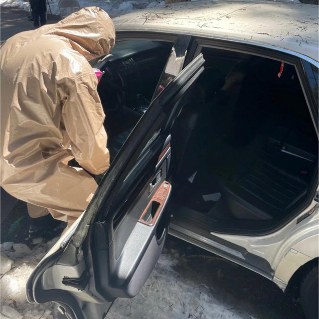 i can't get in that car cover art