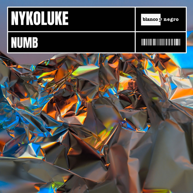 Обкладинка: Numb — Nykoluke