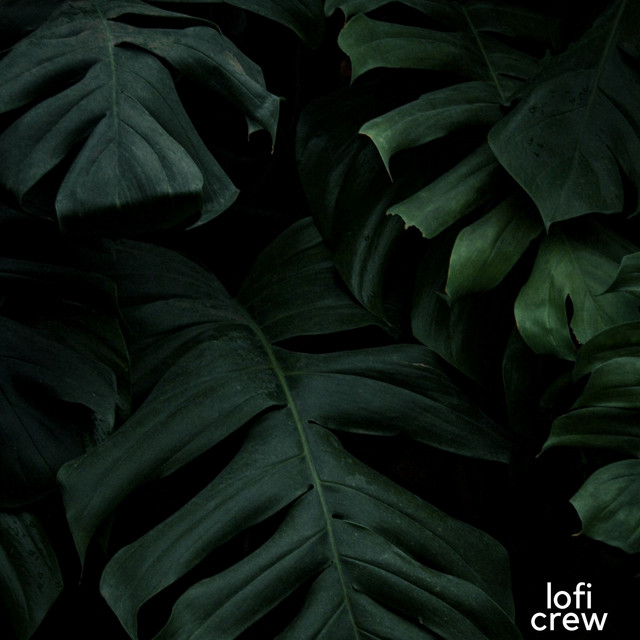 Background LoFi For Study cover art
