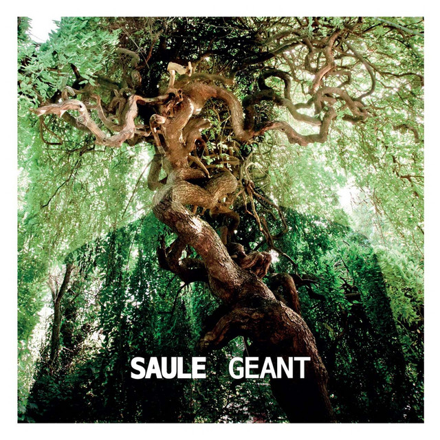 Géant cover
