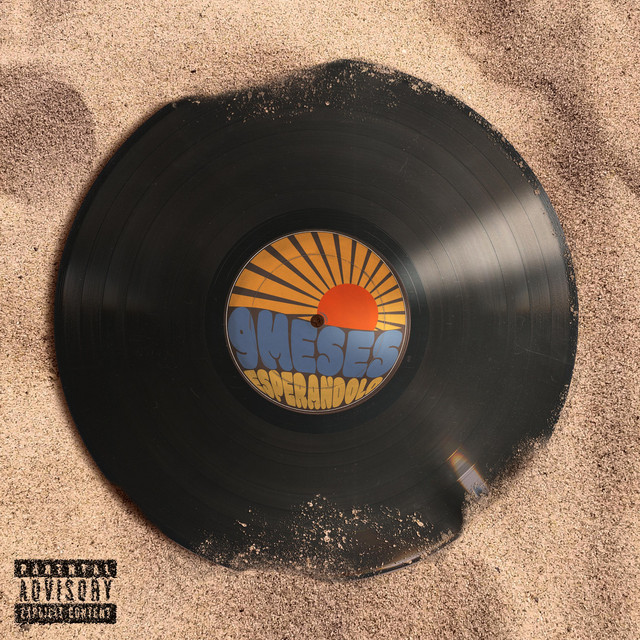9 MESES ESPERÁNDOLO cover art