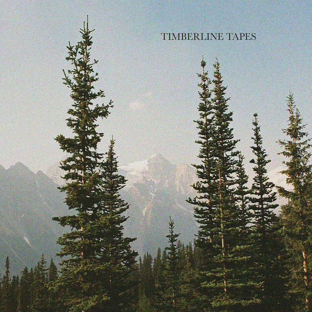 Dark Times cover art