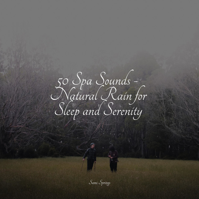 50 Spa Sounds - Natural Rain for Sleep and Serenity - Album by Rainfall ...
