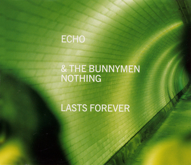 Nothing Lasts Forever - Single by Echo & the Bunnymen | Spotify