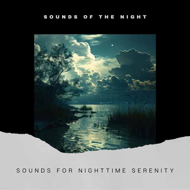 Sounds of the Night
