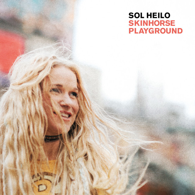 Skinhorse Playground cover art