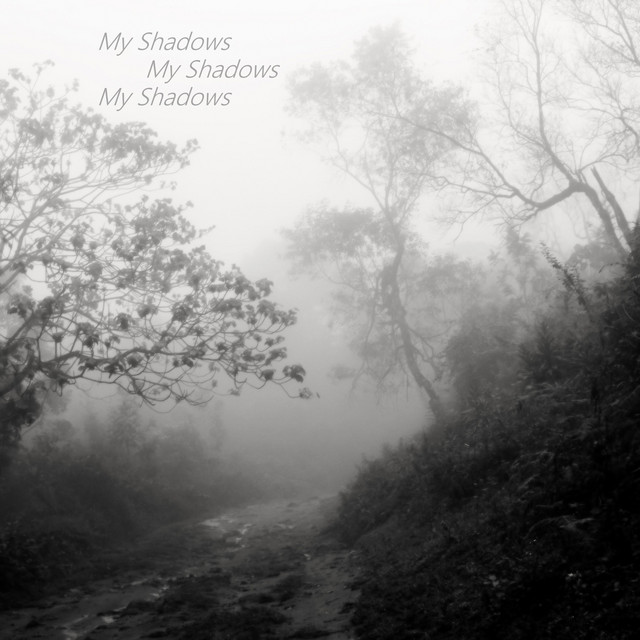 My Shadows