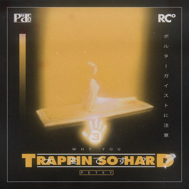 WHY YOU TRAPPIN SO HARD cover art
