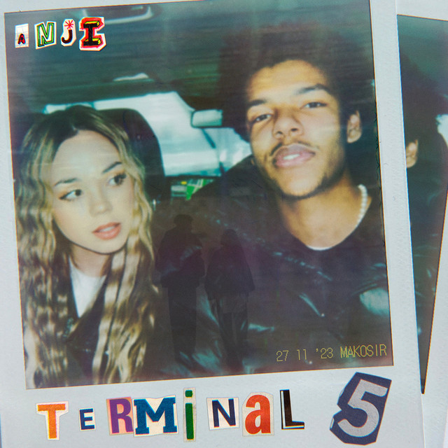Terminal 5 cover art