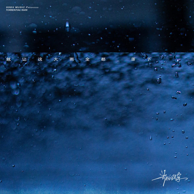 就让这大雨全都落下 (深情版) cover art